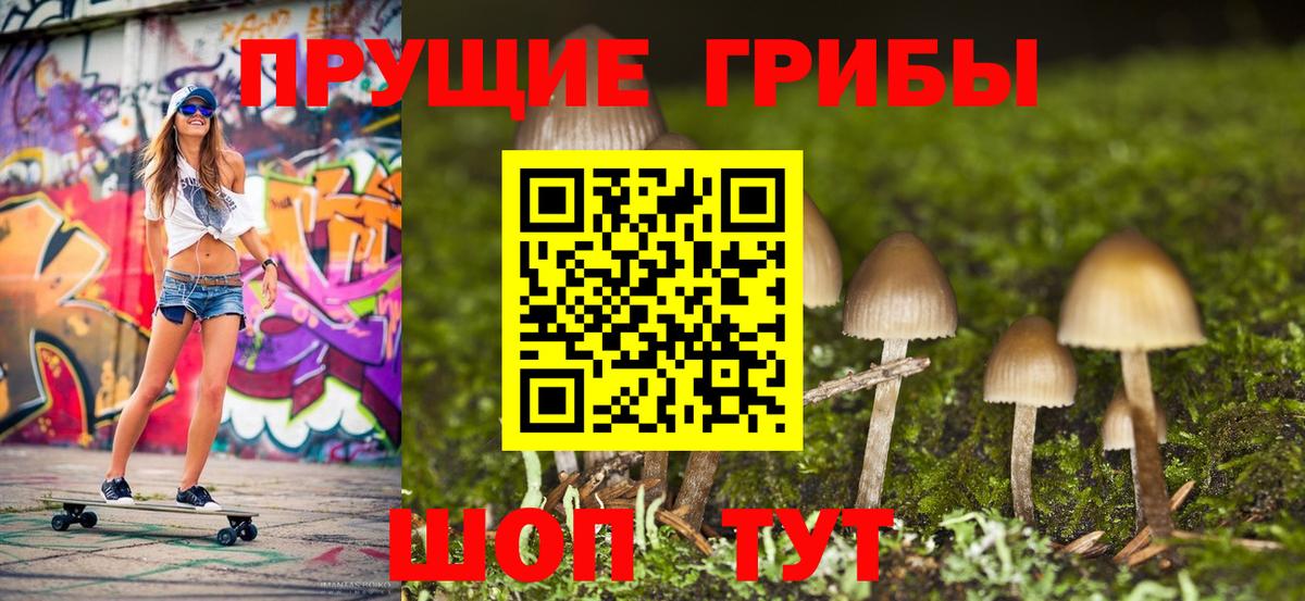 Псилоцибиновые грибы прущие грибы Кострома
