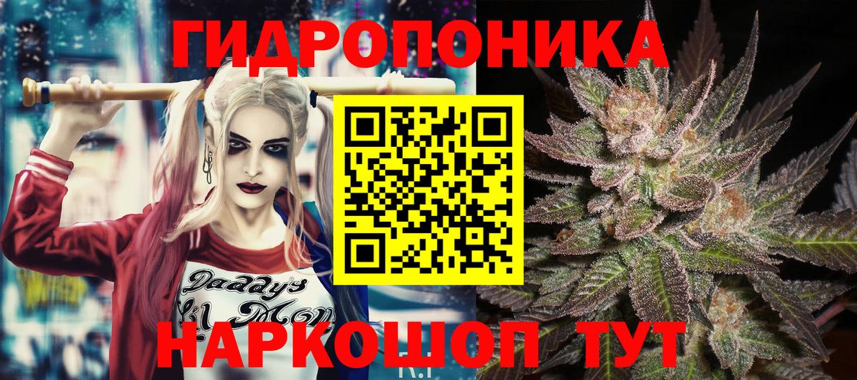 Каннабис AK-47 Кострома